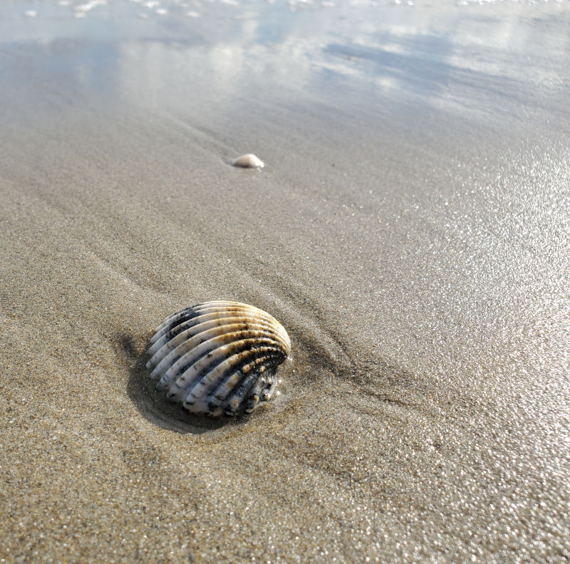contes mer coquillage voyage de titouan