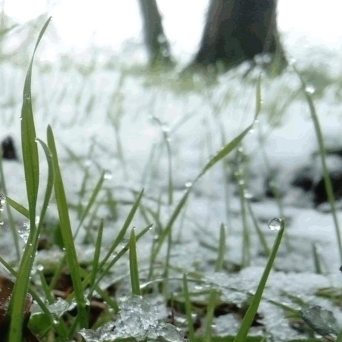 spectacle conte du printemps