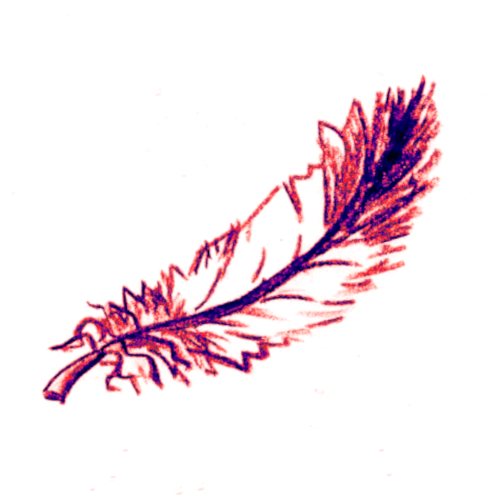 spectacle conte lutin plume voyage