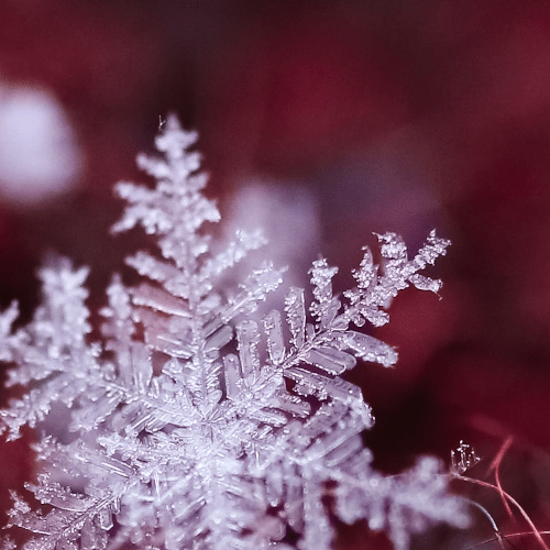 spectacle conte noel hiver flocon