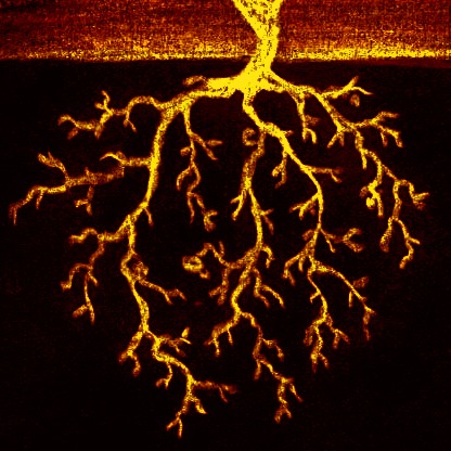 spectacle conte sol mystère saisons