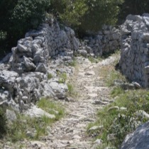 balade contée sauve