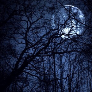 balade contee la nuit